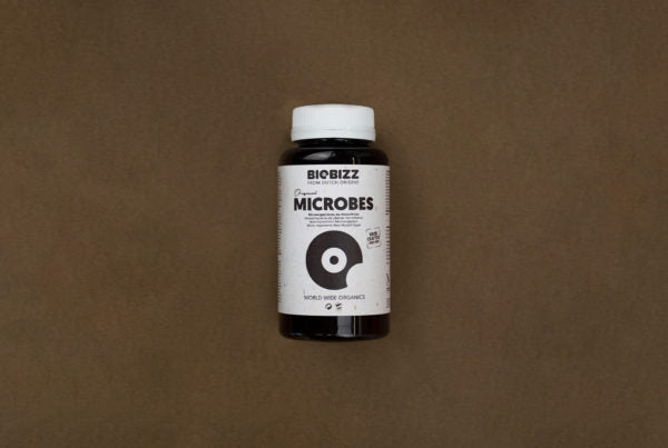 Biobizz Microbes